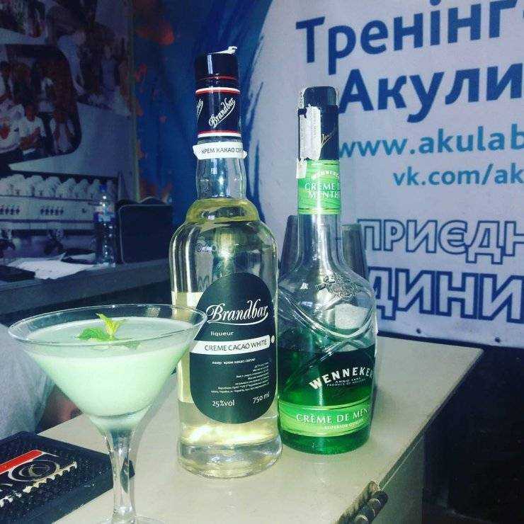 Виды кузнечиков. описание, названия, особенности и фото видов кузнечиков | живность.ру