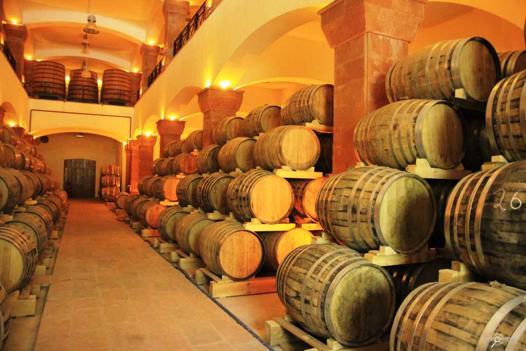 Армянские вина: история, специфика, особенности, названия и описание лучших вин армении (115 фото + видео)