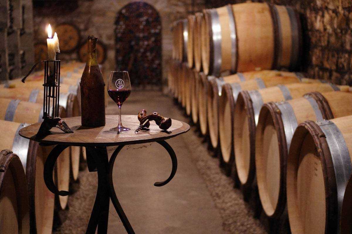 Обзор французских вин бургундии