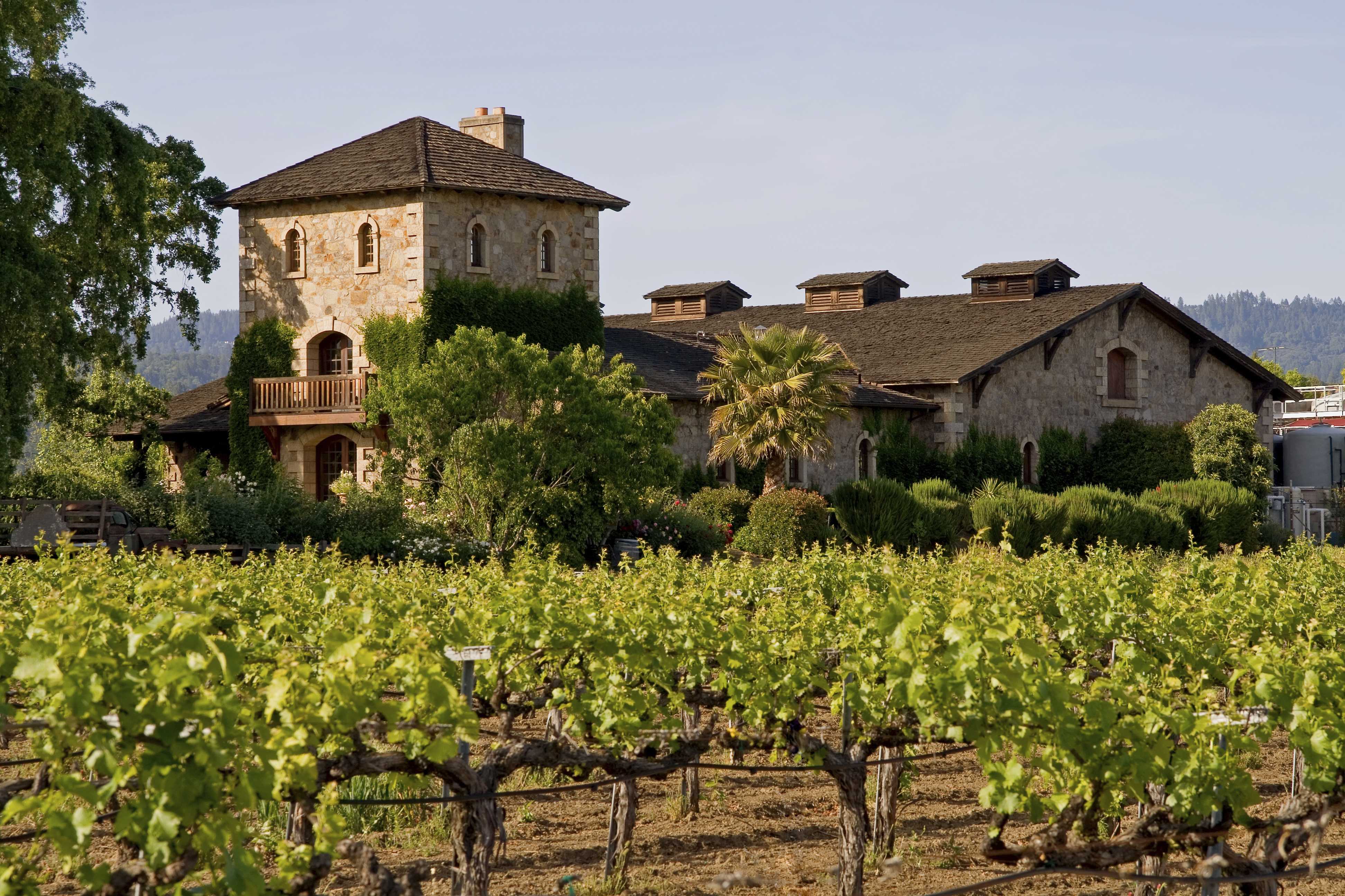 Вина апулии: регион виноделия италия, красное, белое, игристое, что посмотреть