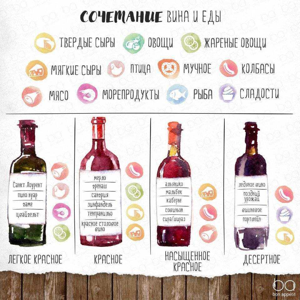 С чем пьют вино: правила употребления красного, белого, розового, игристого и гранатового алкогольных напитков