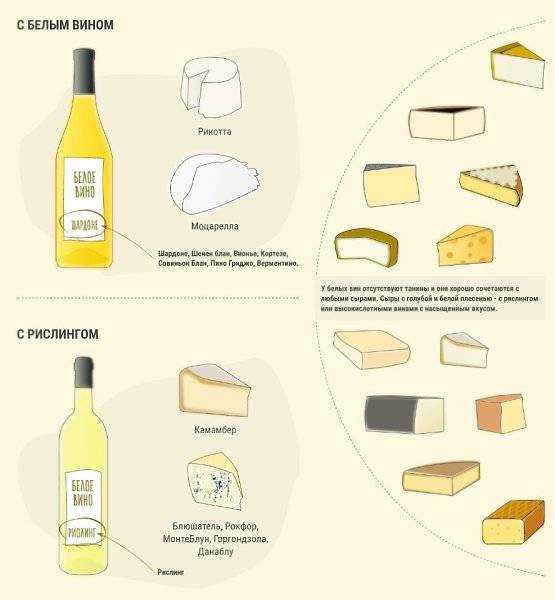 Красное вино и сыр – секрет идеального сочетания