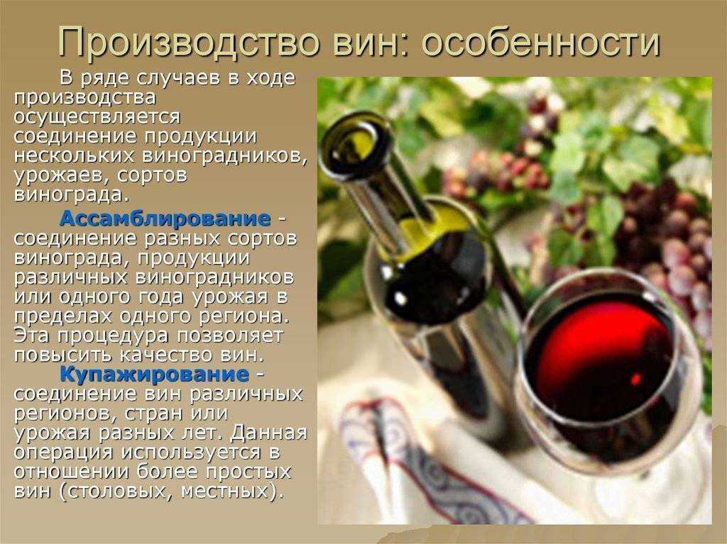 Винодельческий бизнес в россии