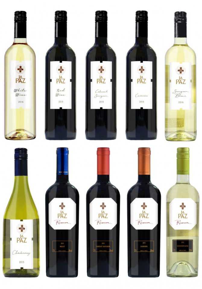 Чилийское виноделие | wine expertise