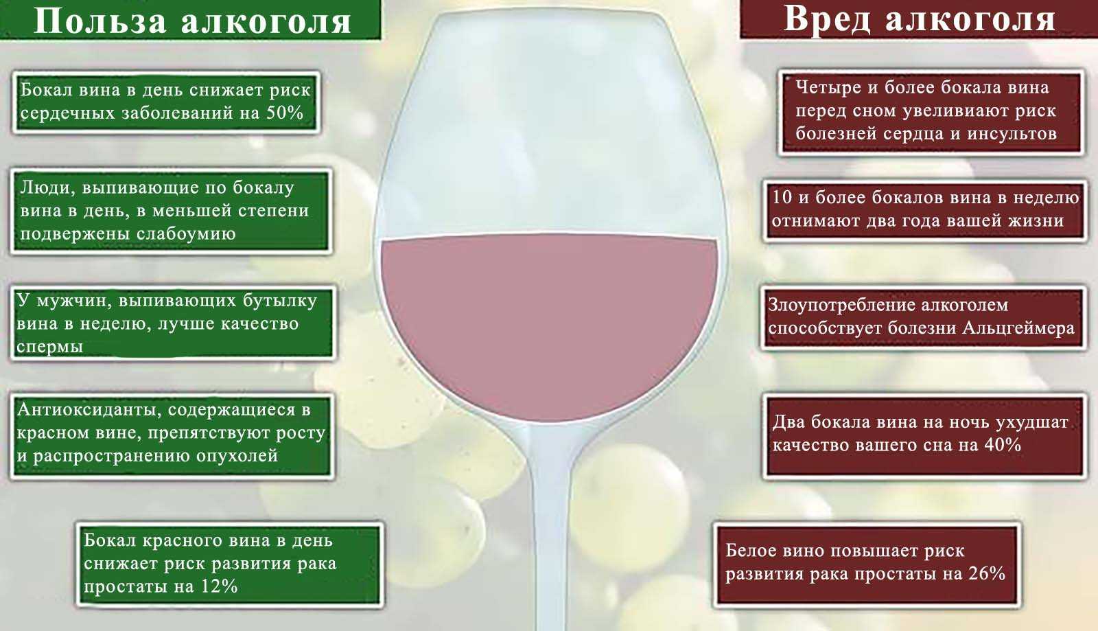 Полезен ли вашему организму бокал красного вина