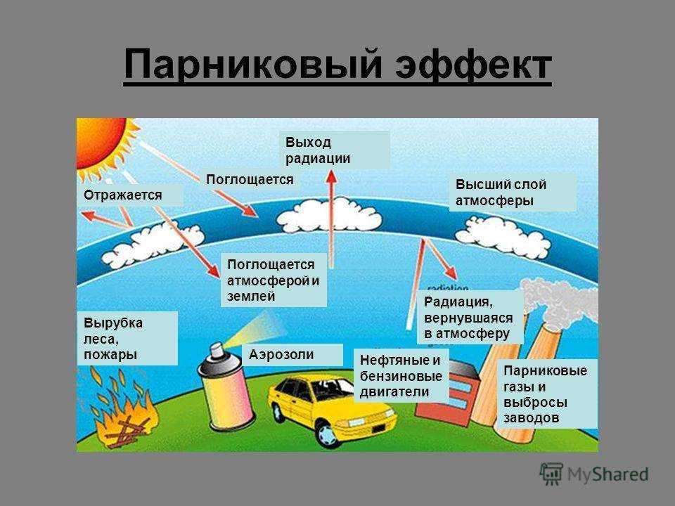 Углекислый газ в атмосфере, его основные источники и поглотители.