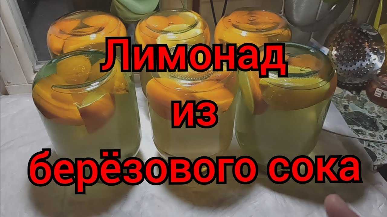 Вино из березового сока - рецепт приготовления в домашних условиях