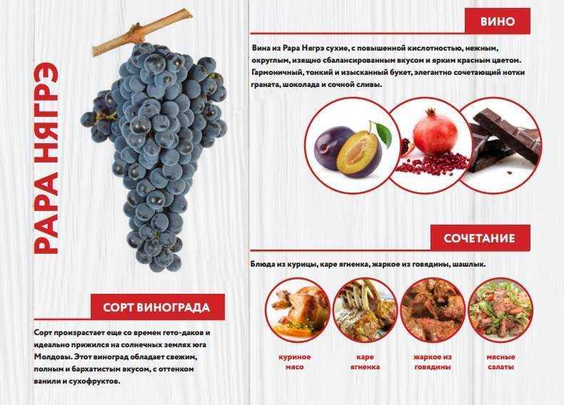 Виноделие молдовы: классификация вин, особенности, регионы, сорта, характеристики