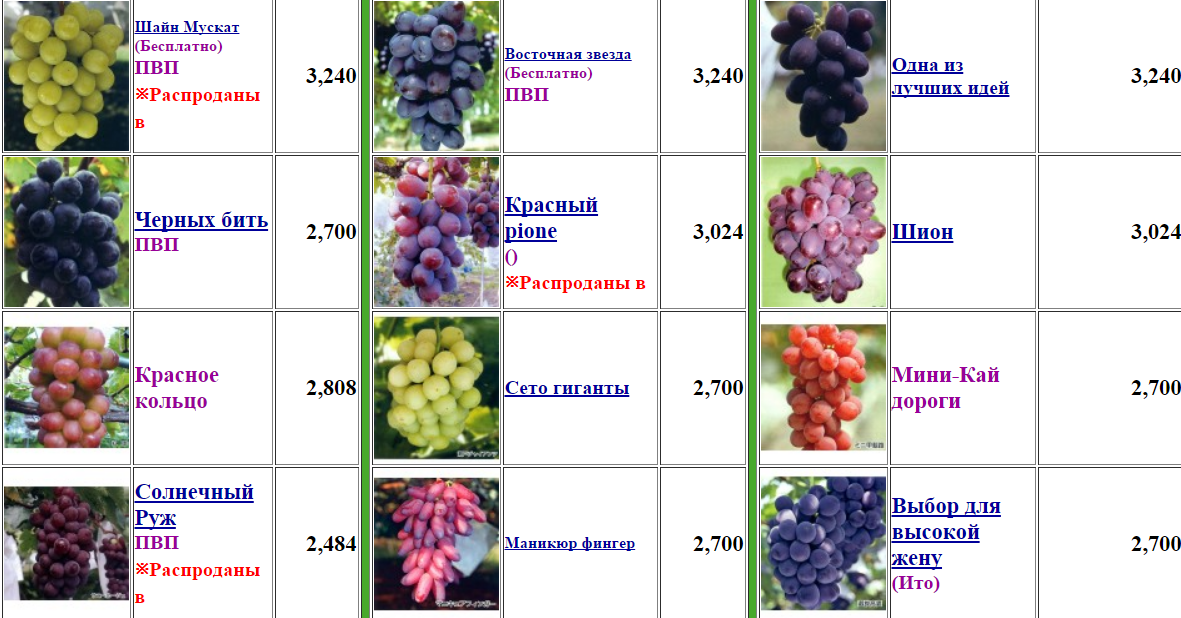 230 сортов винограда с фото и описанием | огородникам инфо