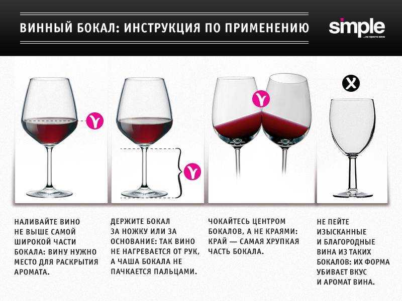 Правила подачи вина