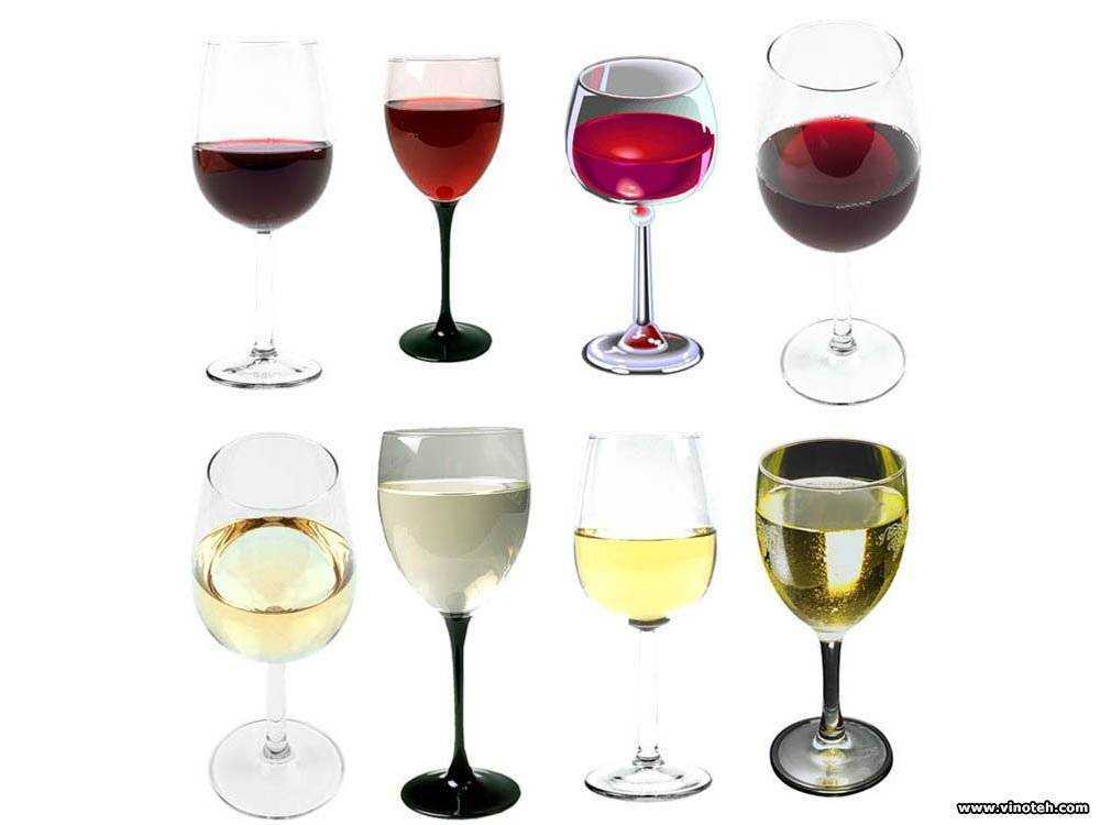 Как сервировать вина . бокалы: идеальная форма и правила использования