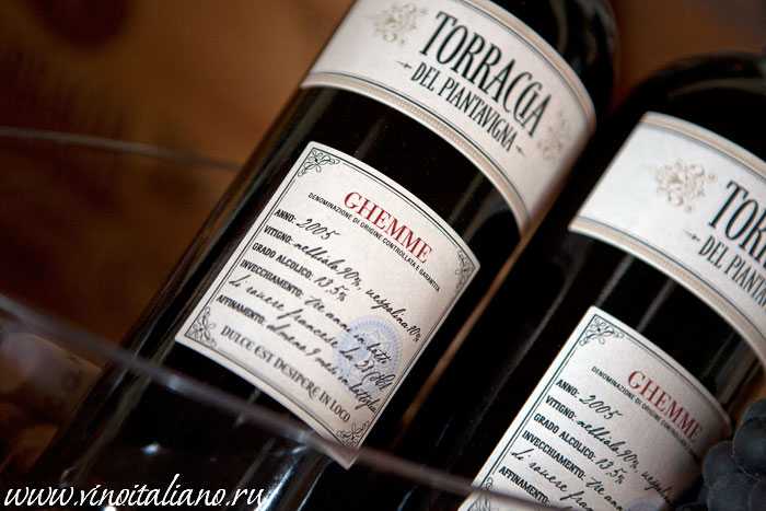 Виноделие и дегустации вина в регионе марке в италии — travel blog
