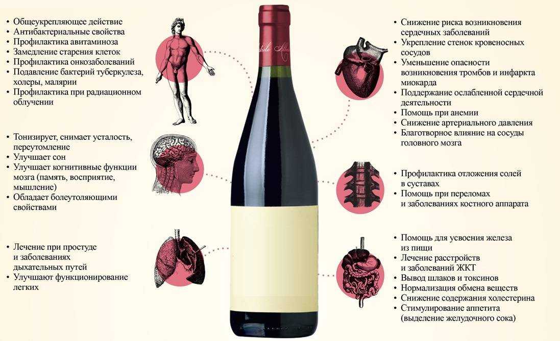 Какое вино полезней? о пользе и вреде вина. - eurolab