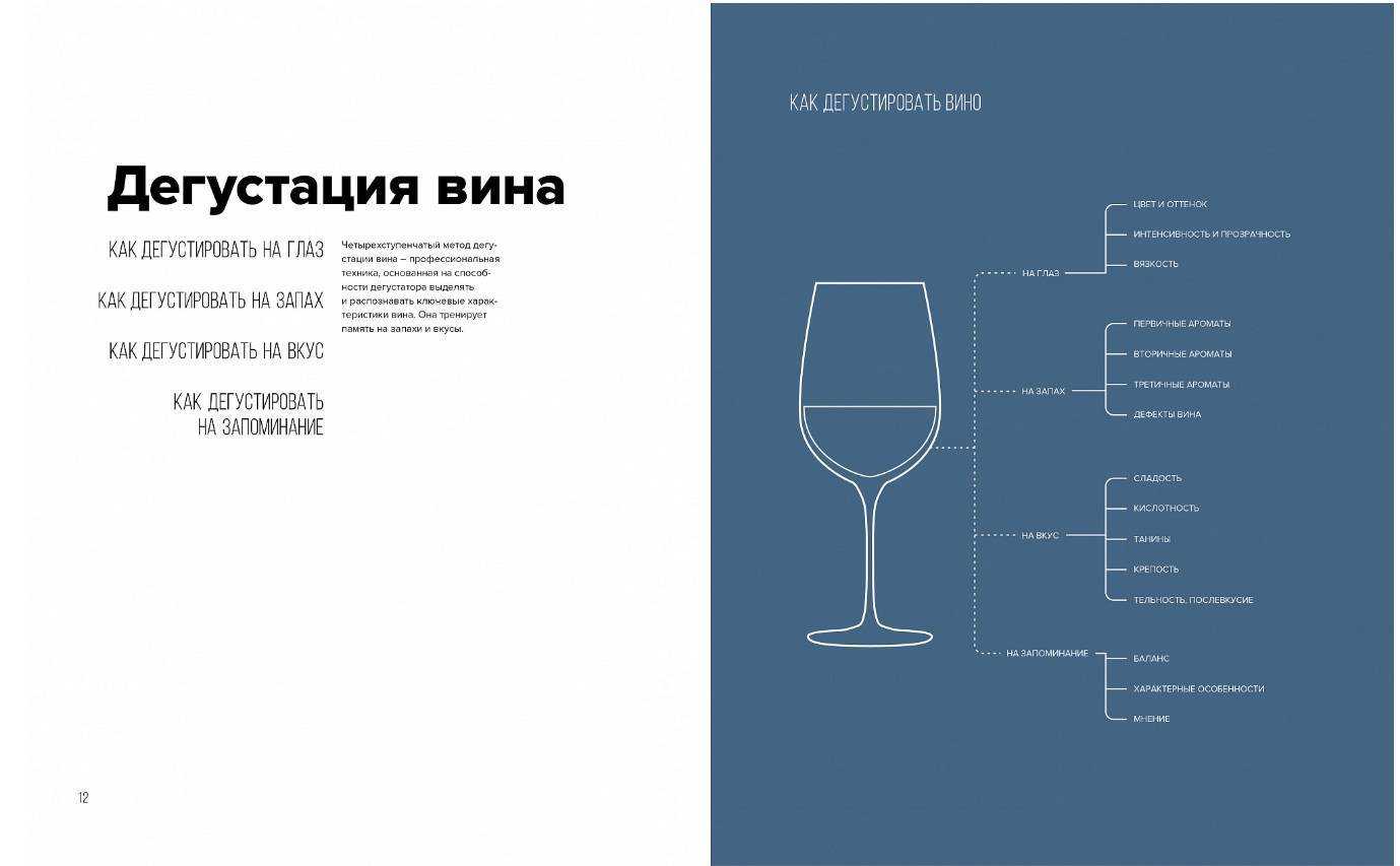 ᐉ как дегустировать и оценивать вино - как дегустировать вино и говорить о нем - виноград - roza-zanoza.ru