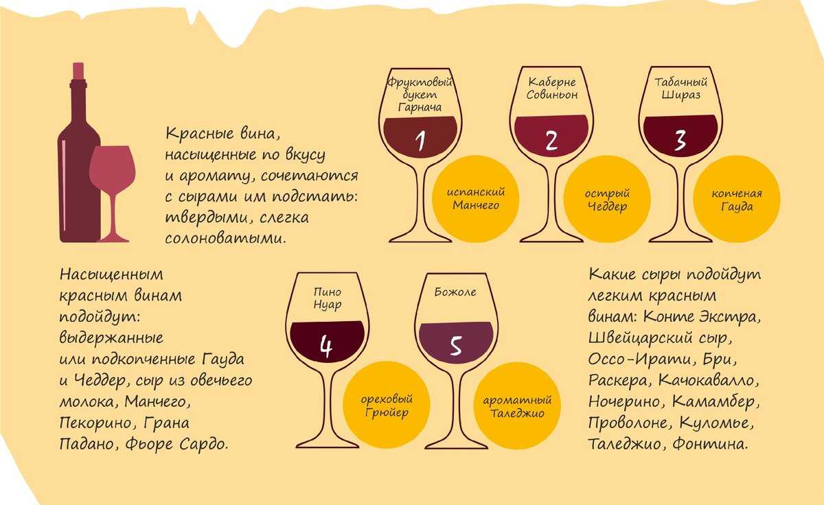 Сыры подходящие к винам: какой подать к красному, белому, розовому, игристому вину - onwomen.ru