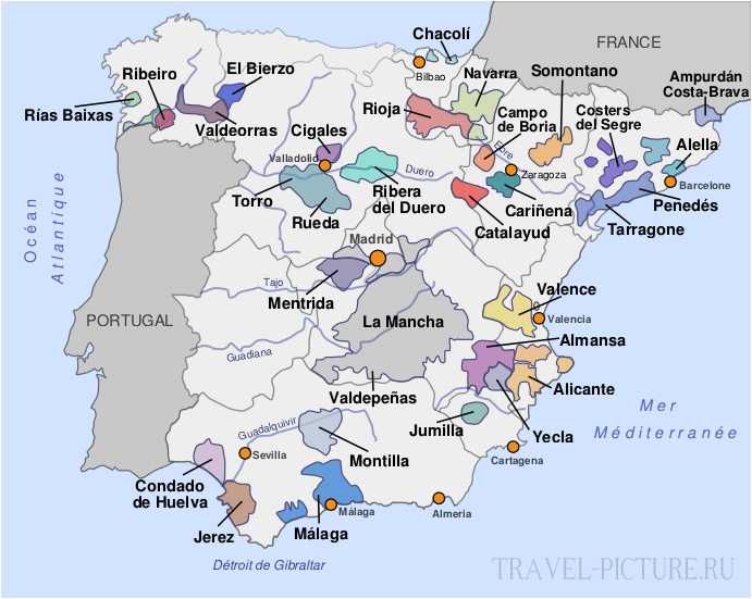 Обзор марок и видов испанских вин