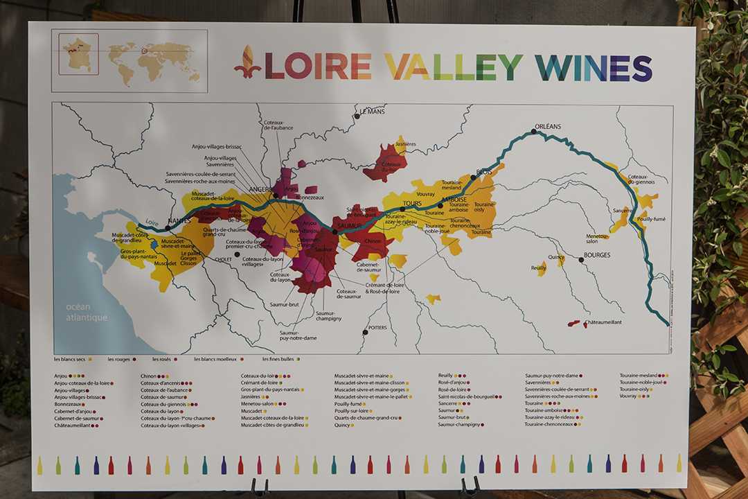 Виноделие франции: классификация вин, особенности, регионы, сорта, характеристики