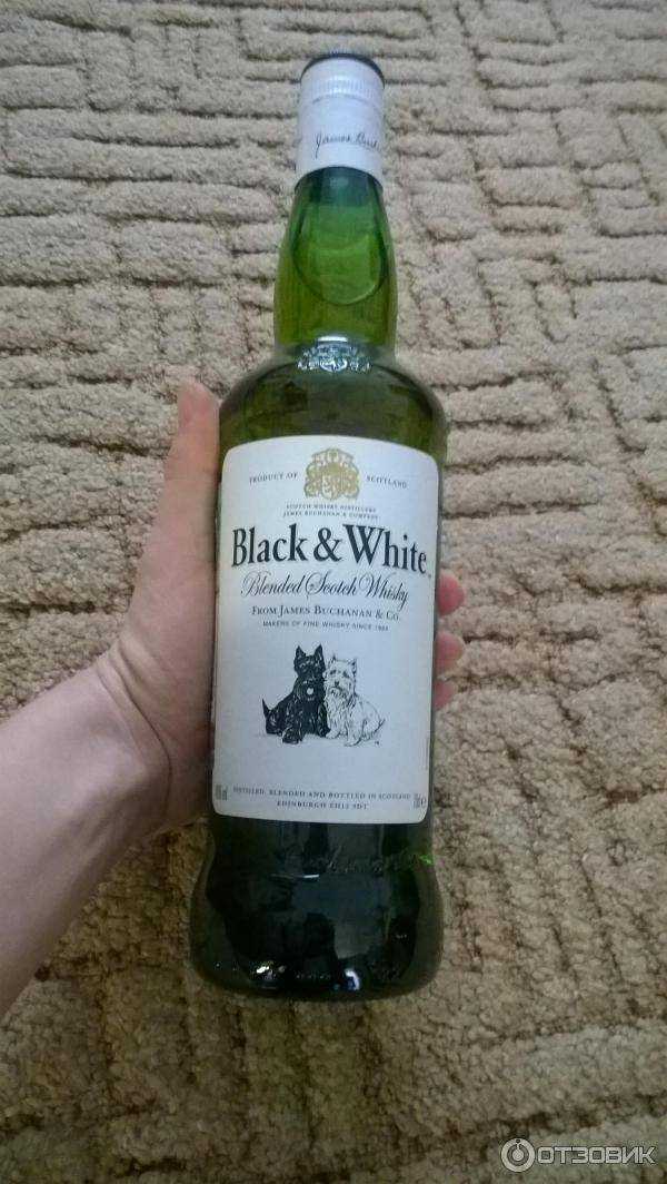 Виски black and white: характеристики напитка, отзывы. как пить виски правильно и чем закусывать? :: syl.ru