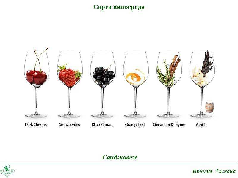 Вино bardolino (бардолино): особенности производства и культура пития