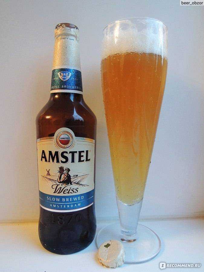 Пиво amstel (амстел) — особенности и характеристика нидерландского напитка