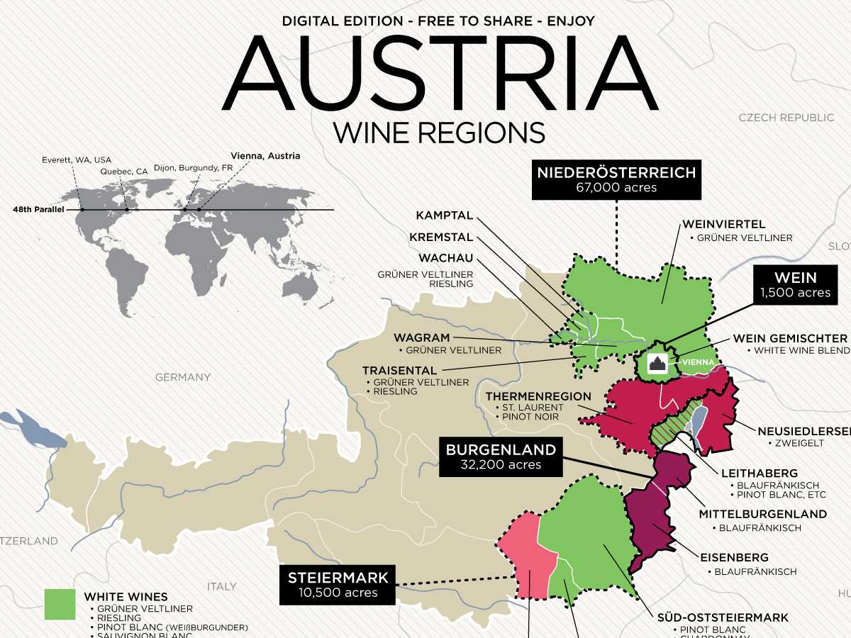 Австрийское вино: лучше, чем вчера | horeca-magazine.ru