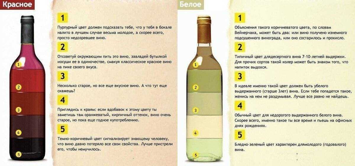 Как выбрать вино в магазине: правила и рекомендации