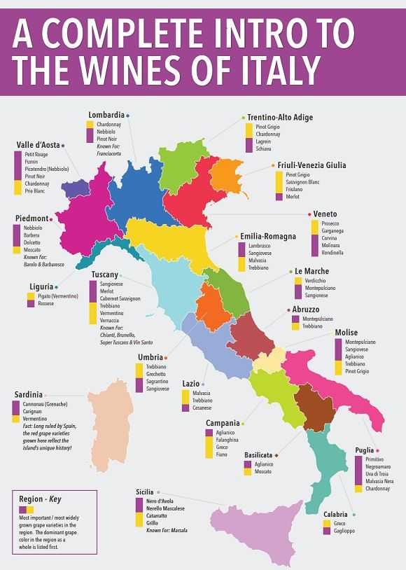 Много-много про классификацию итальянских вин
