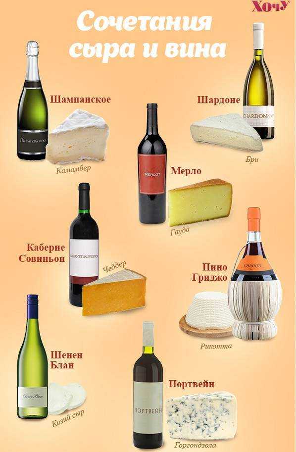 Какое вино сочетается с сыром