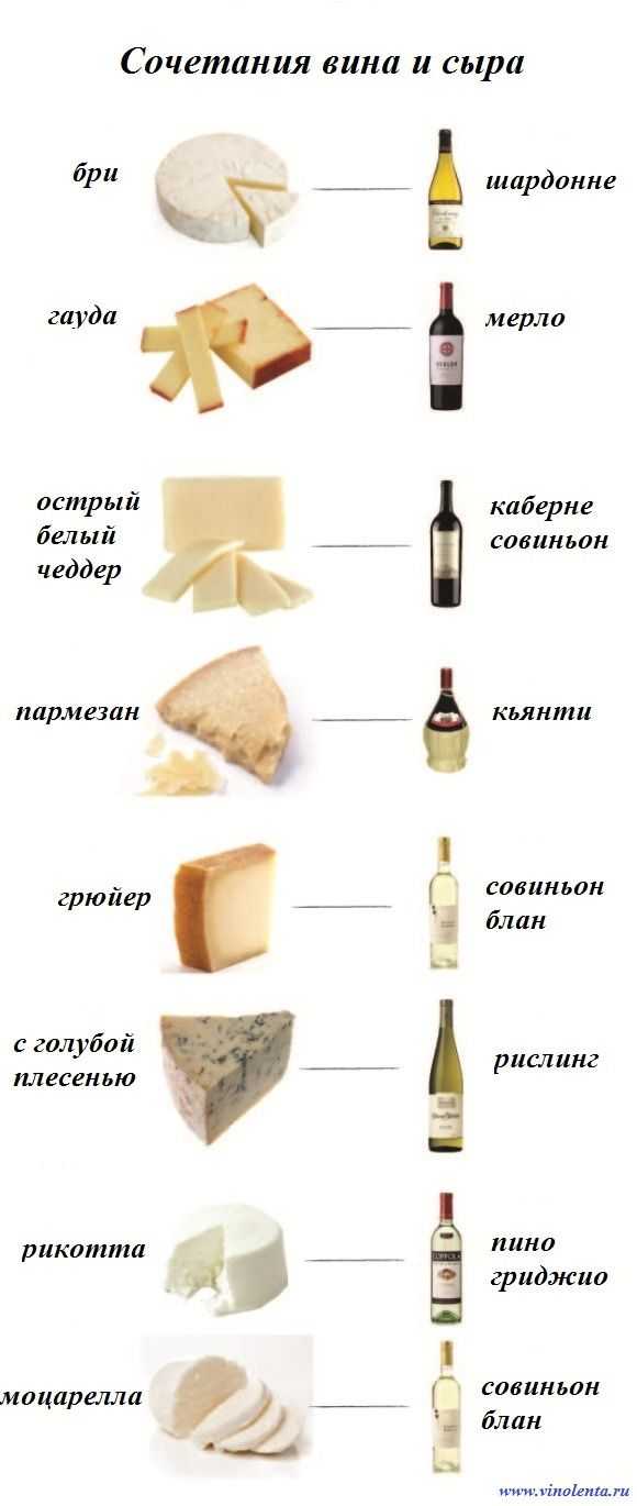 Какой сыр подходит к вину | wine expertise