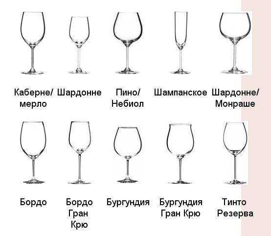 Как правильно держать бокал? учимся держать бокал с вином, шампанским, коньяком