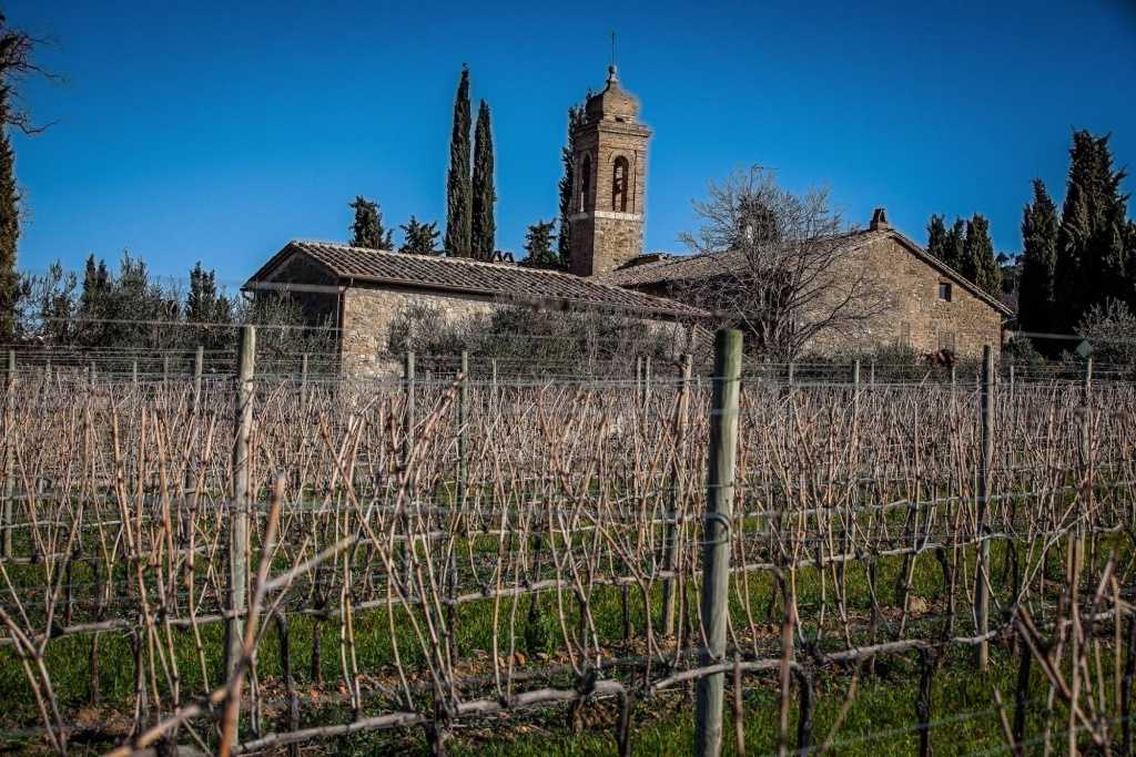 Виноделие и дегустации вина в регионе марке в италии