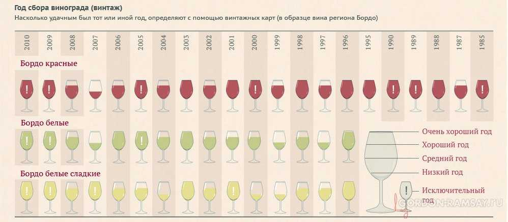 История вина и виноделия в мире — интересные факты появления напитка