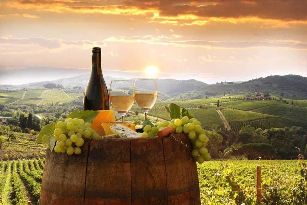 Винодельческие хозяйства тосканы: отдых у виноградной лозы