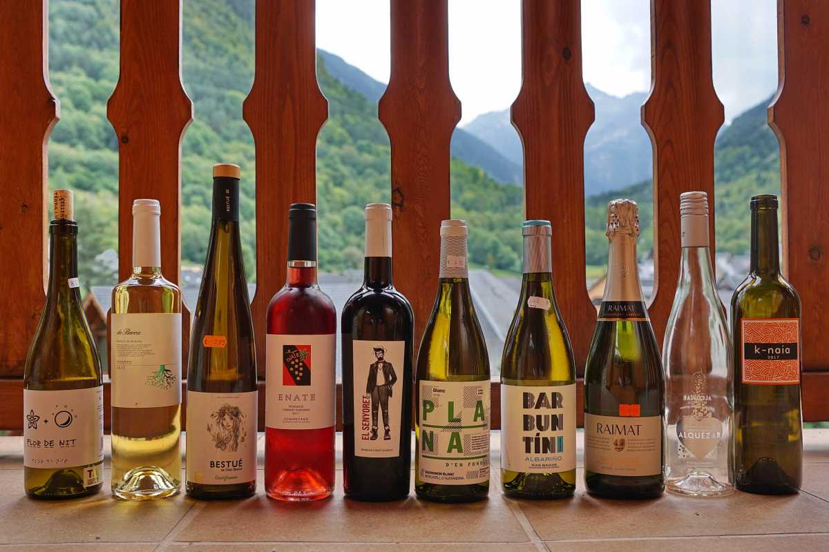 Испанское вино – классификация и как выбрать