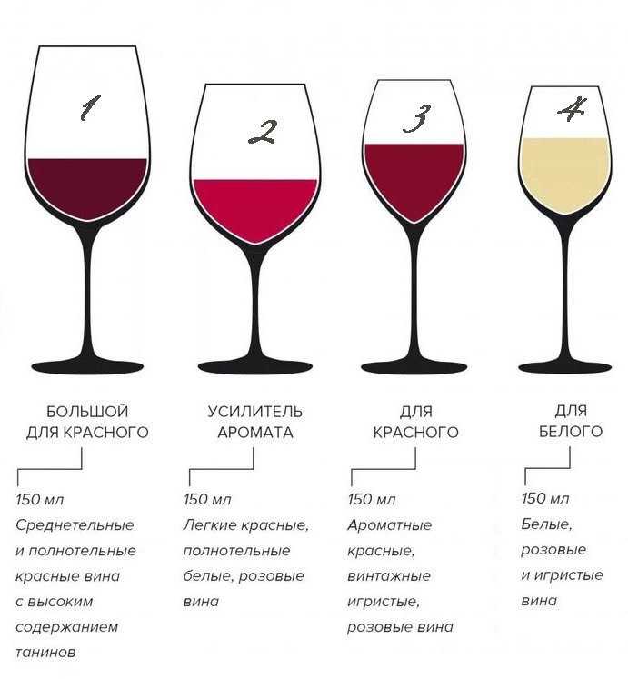 Виды бокалов для вина – формы, применение