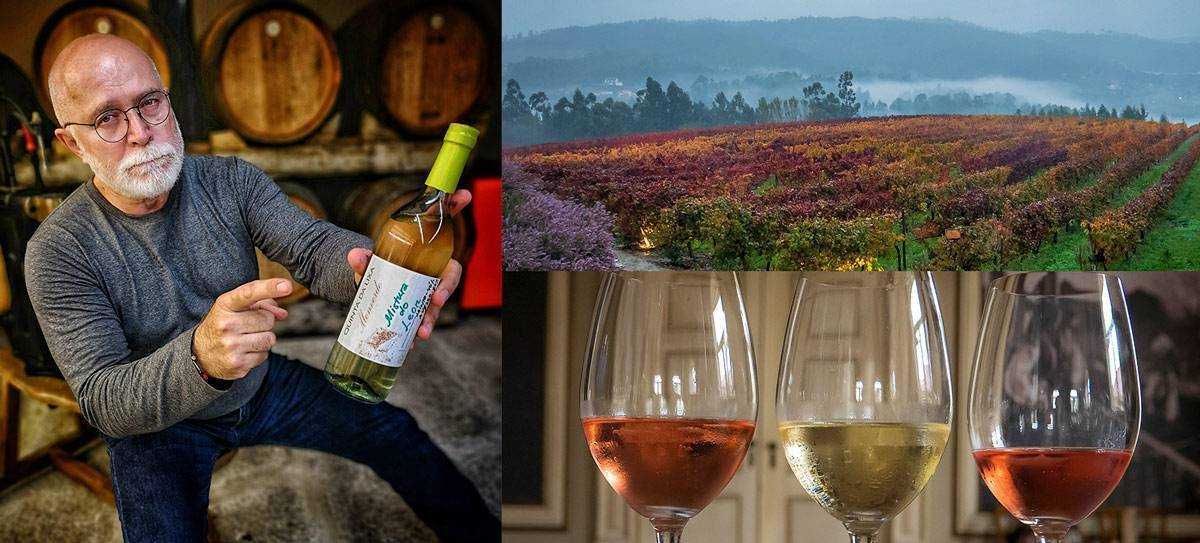 Vinho verde – регион производства, история, технология, стили зеленого вина
