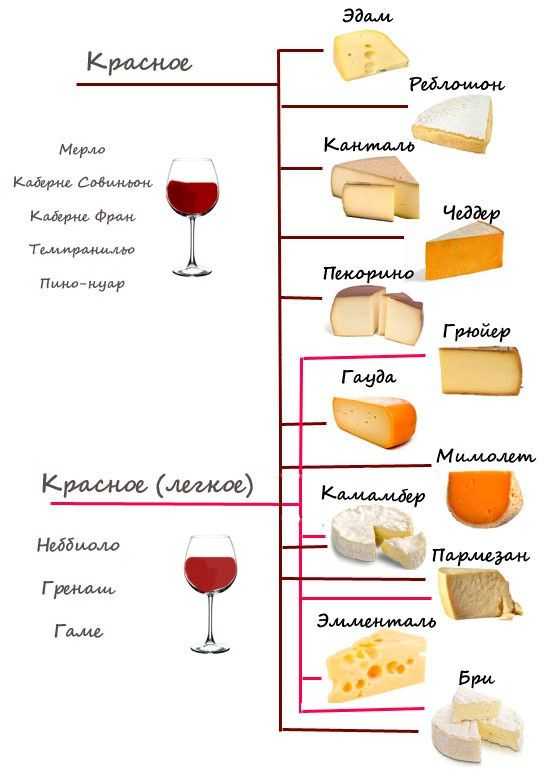 Сыр и красное вино - какой сыр подойдет к полусладкому и сухому вину