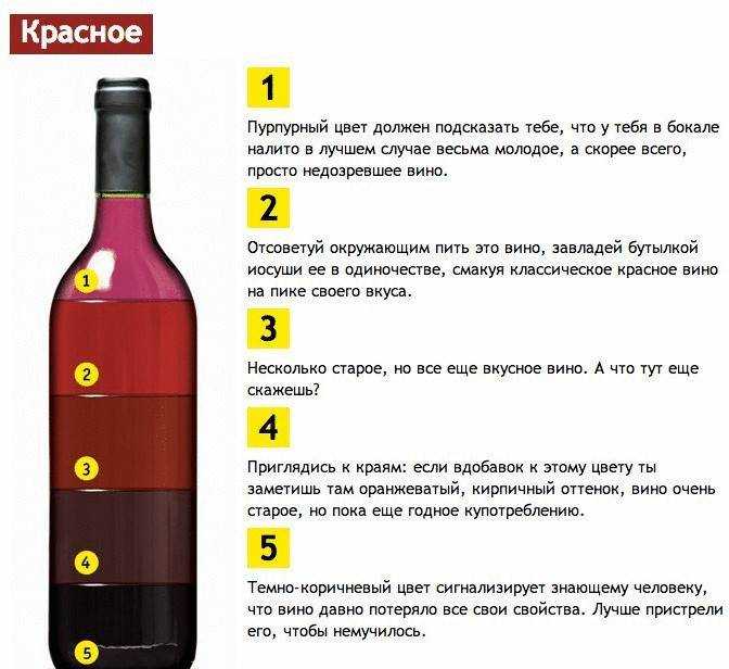 Как читать винные этикетки. как география влияет на вкус вина: общие правила и обозначения