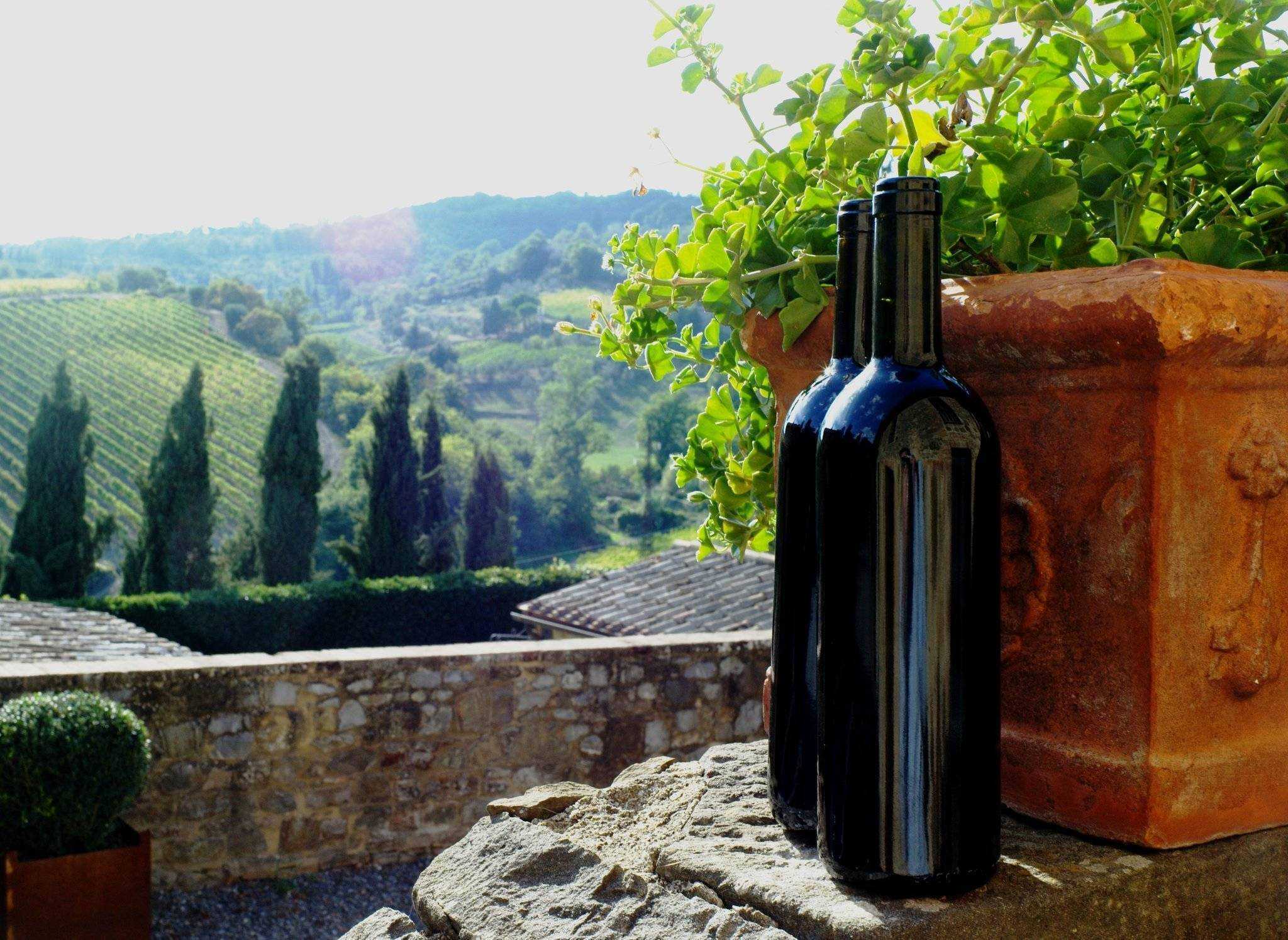 Супертосканские вина – родина вин-бунтарей италии