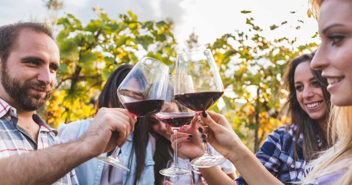 Винный туризм: куда ехать для дегустации вин | блог о приключениях ксюши и славы наймушиных