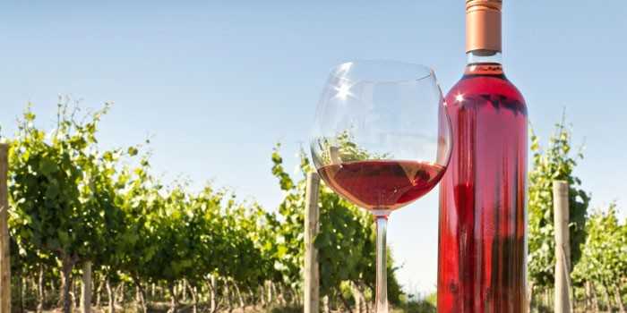 Технологии, стили, вкусоароматика и гастрономия розовых вин
