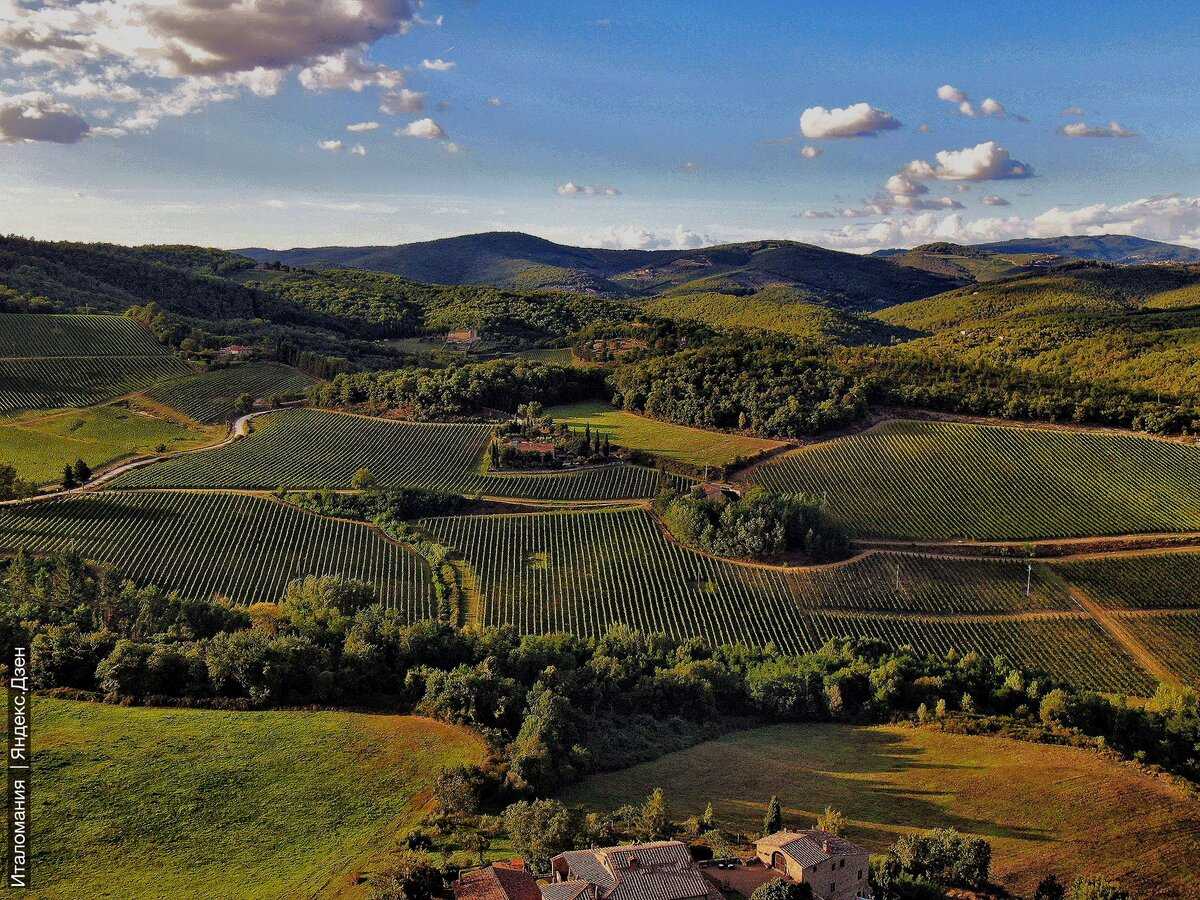 Тоскана — солнечная сокровищница виноделия с открытки