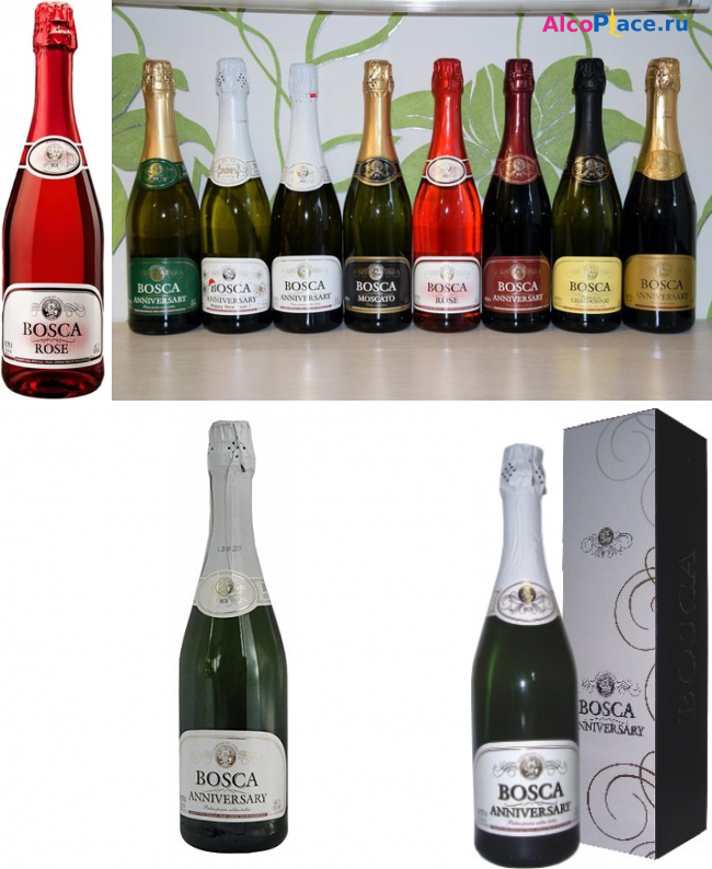 Bosco шампанское виды — история алкоголя