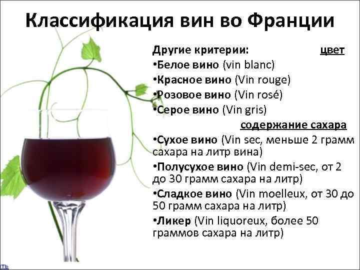 Какие бывают вина? виды вин по сортам, по типам.
