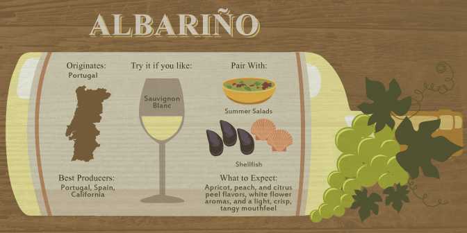 Виноград альбано: описание и правила выращивания сорта