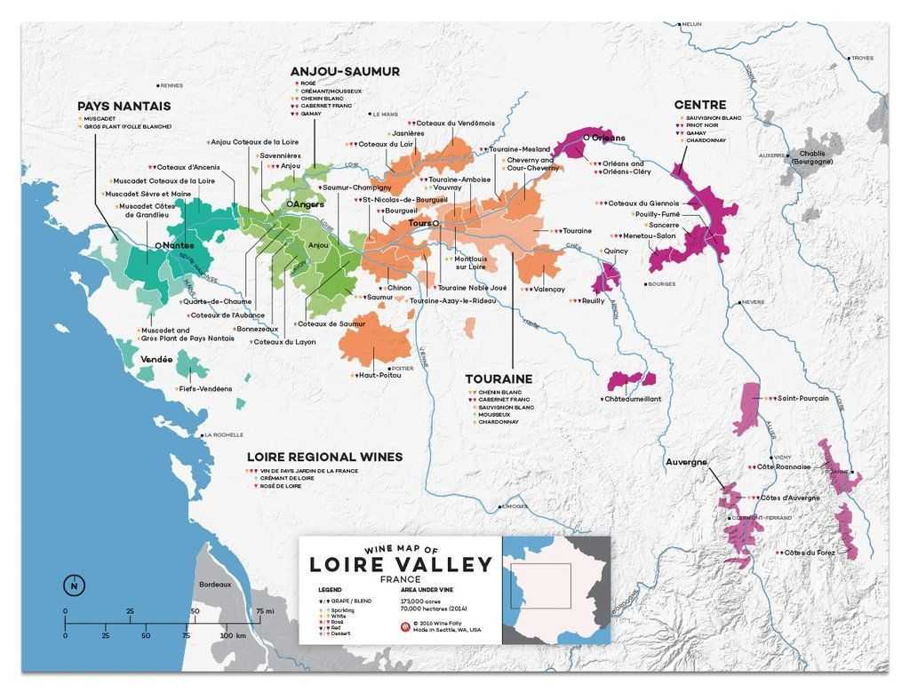 Вина долины луары. ключевые сорта, терруар и классификация вин луары