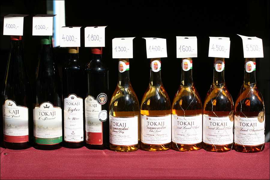 Вино токай — виды вина и его особенности. описание вкуса, качества и цвета венгерского вина (110 фото и видео)
