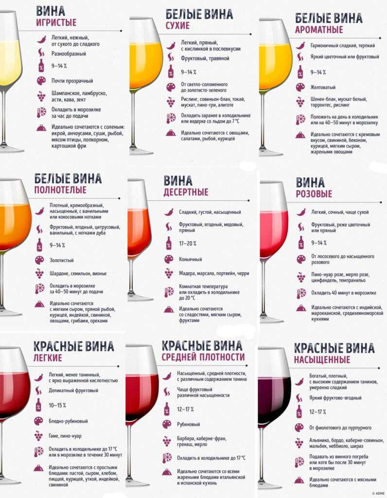 Какое вино лучше красное или белое: что полезнее для женщины