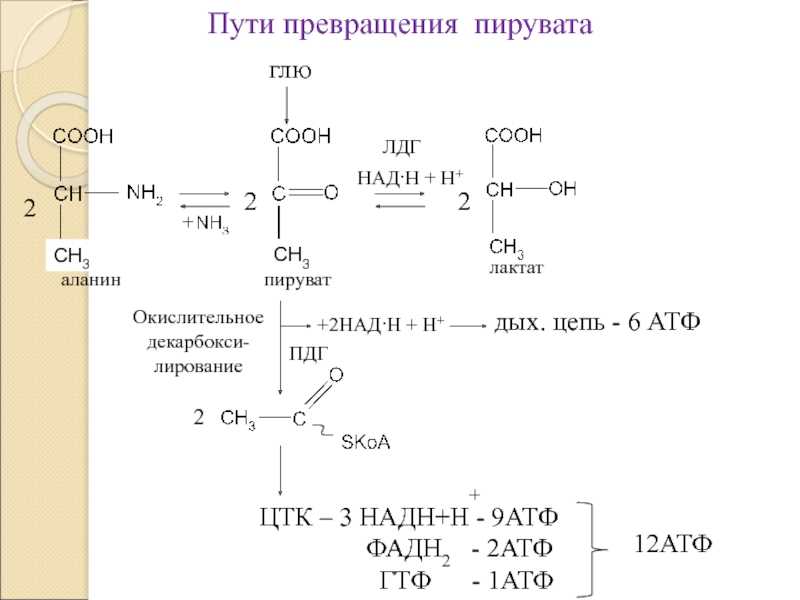 Как выбрать натуральное вино: инструкция