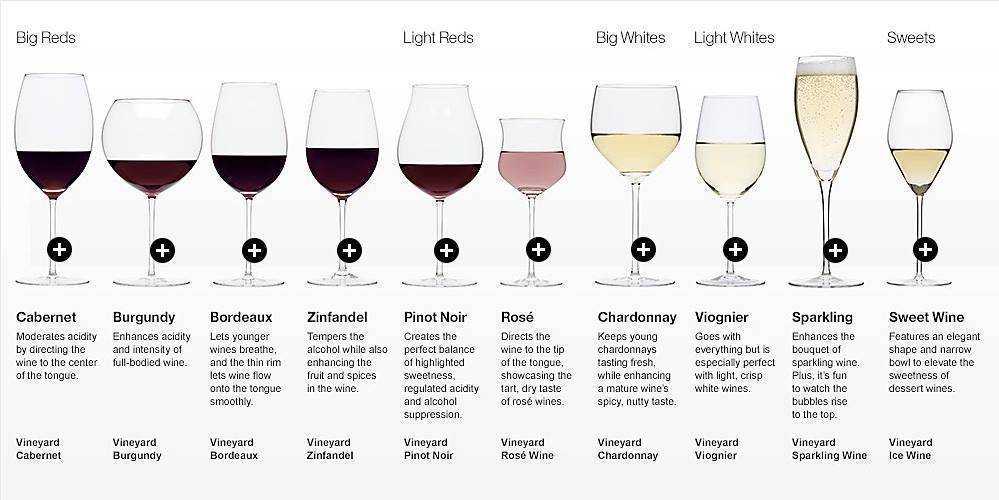 Вино из столовых сортов винограда: что это значит и чем отличается от географического